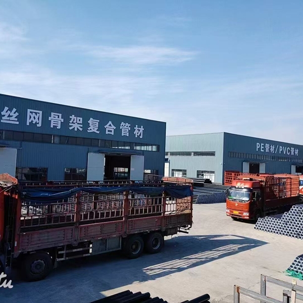 案例展示 